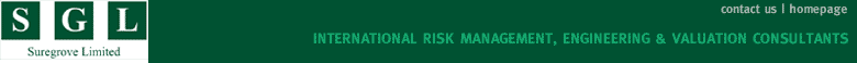 International risk engineering, risk management and risk valuation